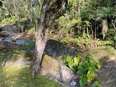 Fazenda/Sítios/Chácaras de 3 quartos, no bairro Botuvera, em Botuverá | Eu Corretor
