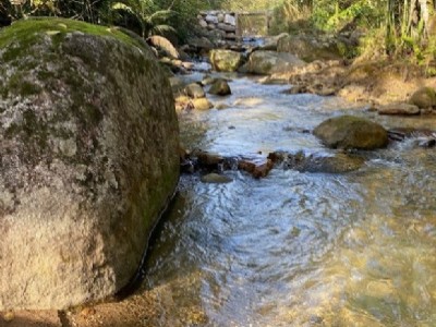 Fazenda/Sítios/Chácaras de 3 quartos, no bairro Botuvera, em Botuverá | Eu Corretor