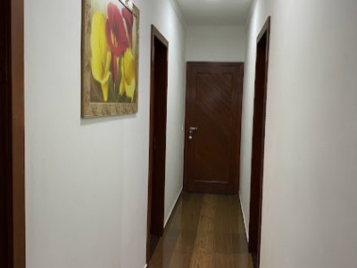 2307281654436230-400.jpg