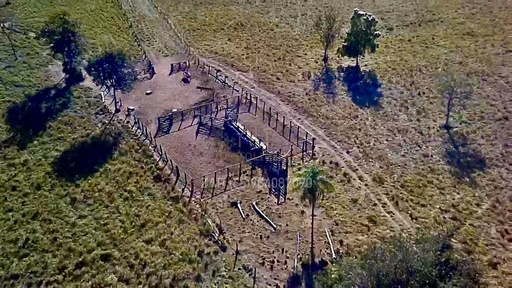 Fazenda/Sítios/Chácaras de 200m² no bairro Rural, em Nova Monte Verde | Eu Corretor