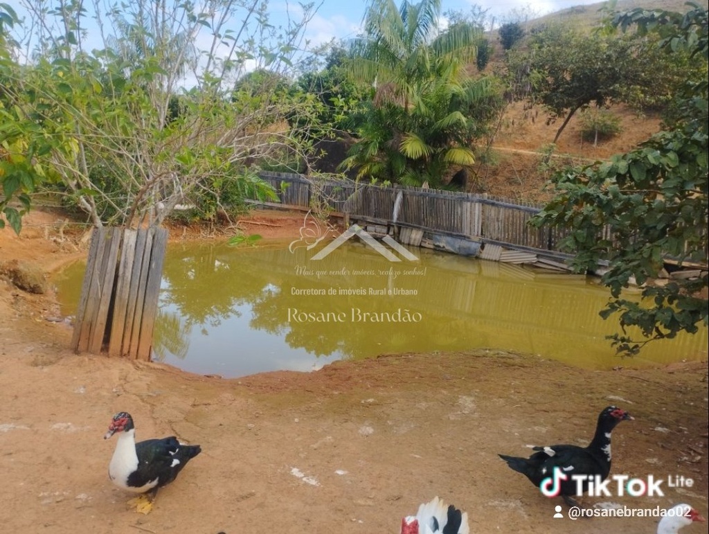 3082cddc-e73a-4336-88b6-85ad99ef6020_21_watermark.jpeg