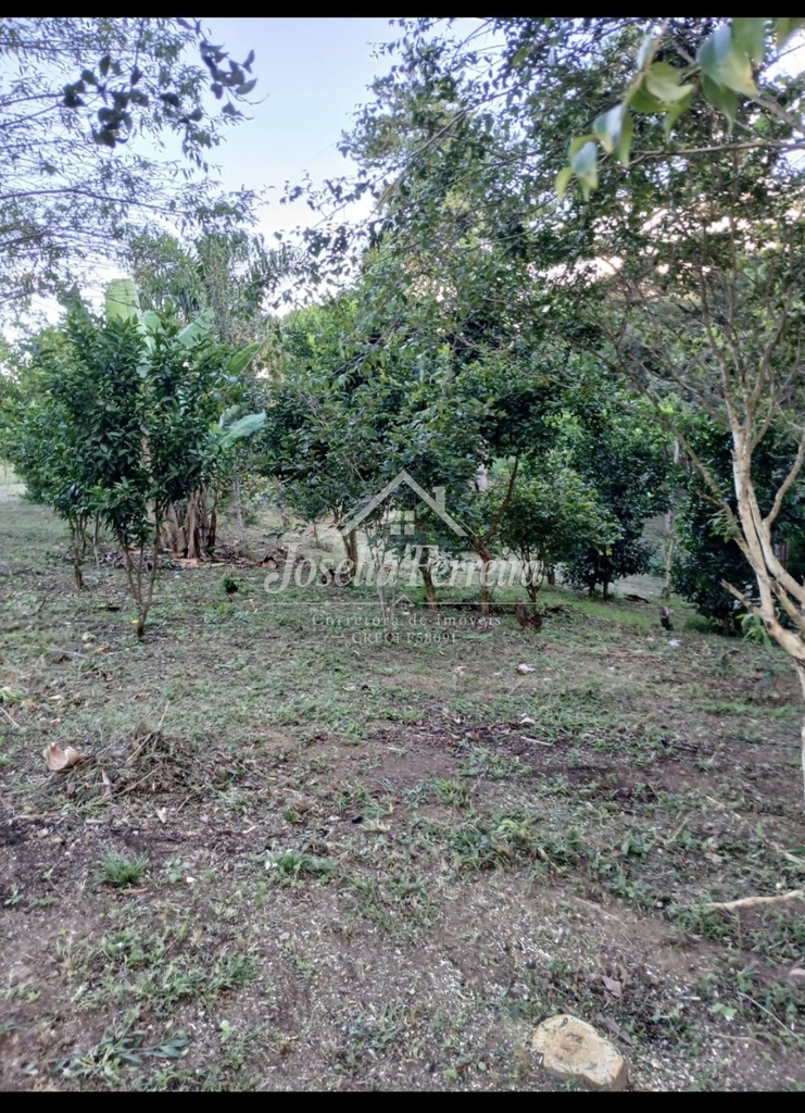 1000611992.jpg