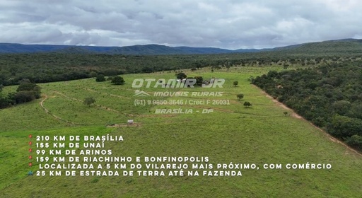 Fazenda/Sítios/Chácaras no bairro 210 hectares, em Buritis | Eu Corretor