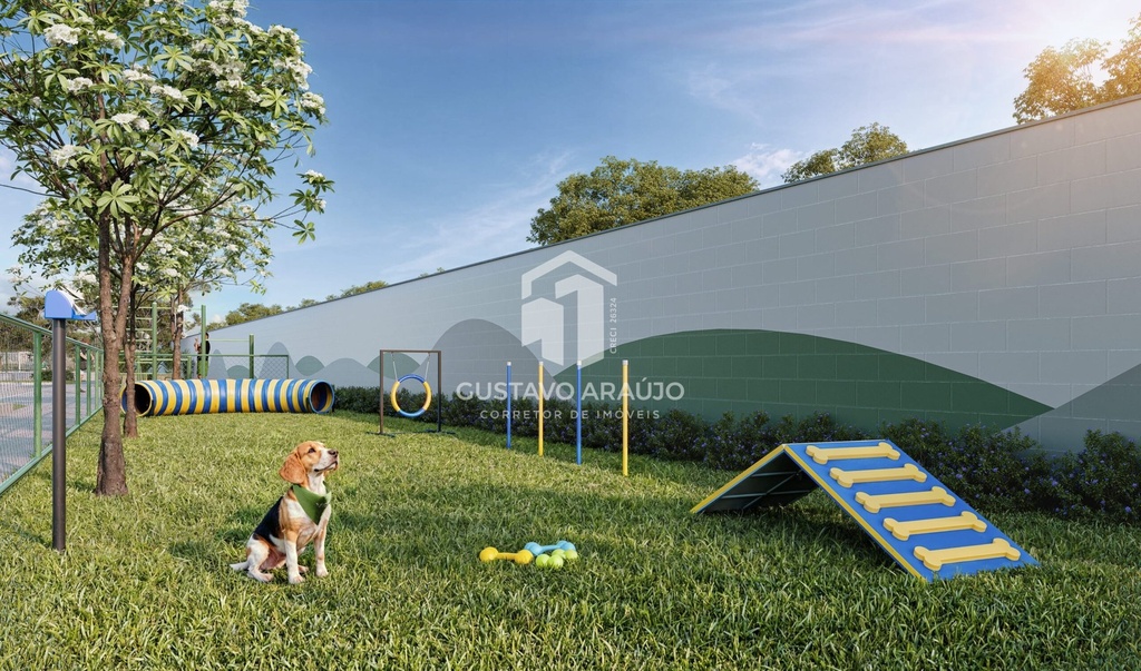 pet-place-vitoria-jasmim-scaled.jpg