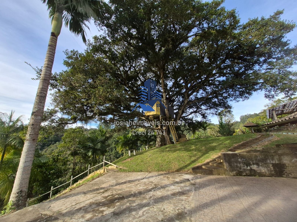 image_re_12079459.jpg