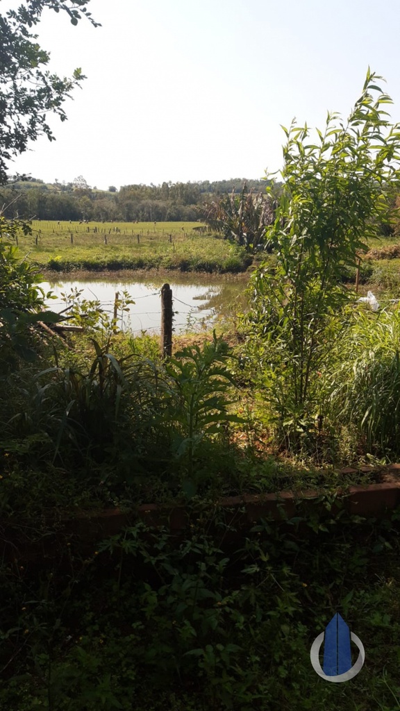image_re_12080269.jpg