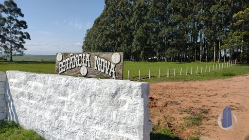 Fazenda/Sítios/Chácaras de no bairro Centro, em Pedras Altas | Eu Corretor
