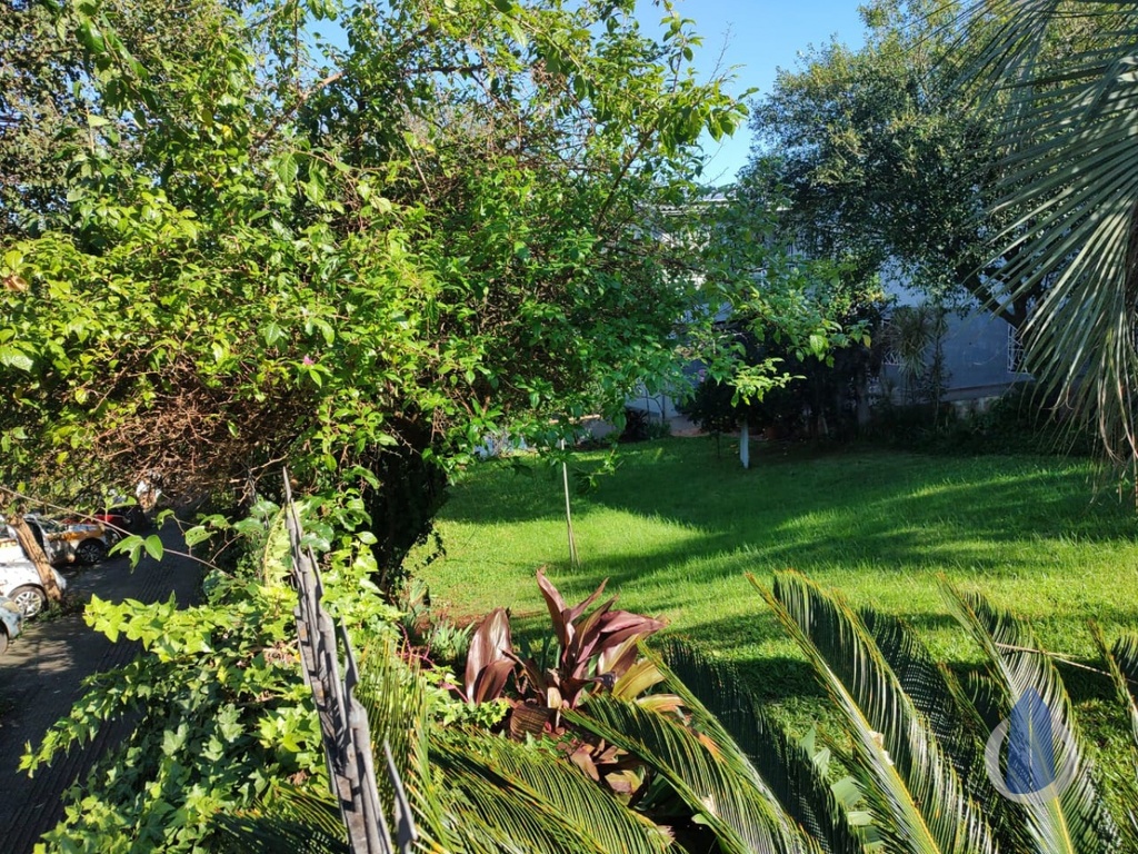 image_re_12080882.jpg
