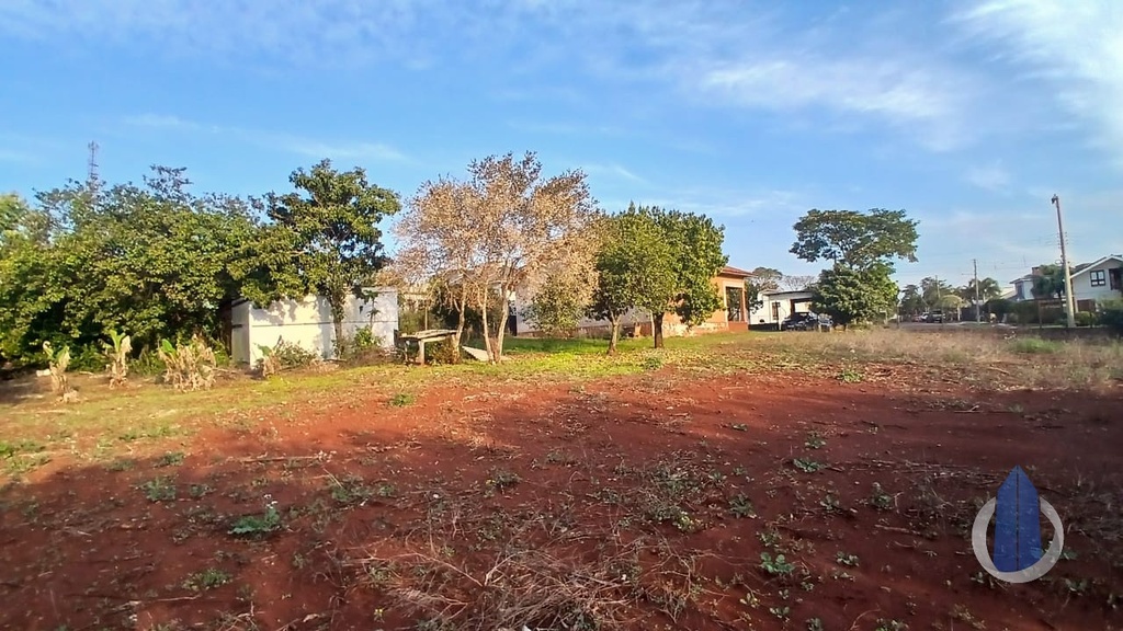 image_re_12082087.jpg
