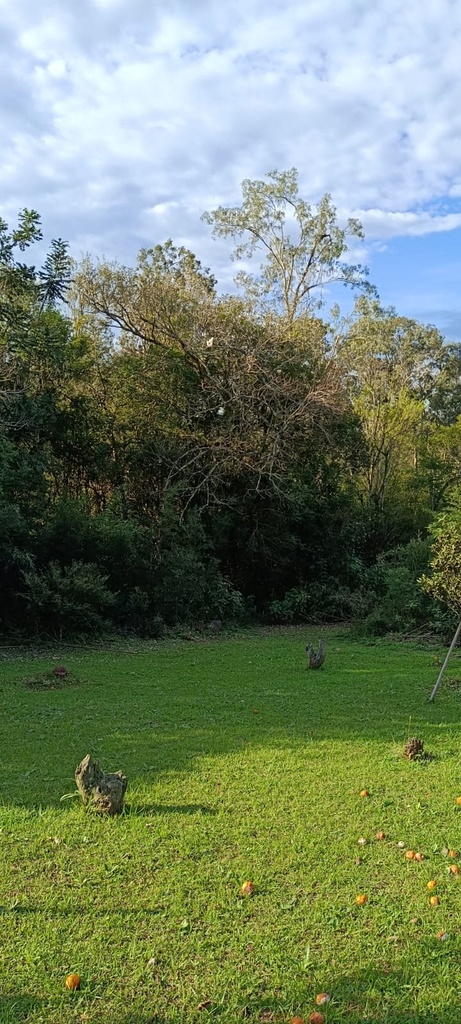 312973.jpg