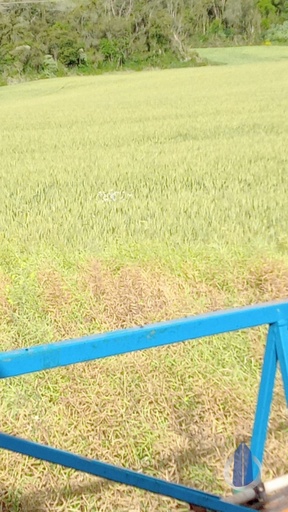 Fazenda/Sítios/Chácaras de no bairro Centro, em Giruá | Eu Corretor
