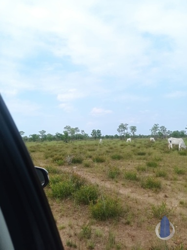 Fazenda/Sítios/Chácaras no bairro Centro, em Luciára | Eu Corretor