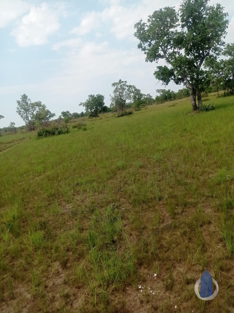 image_re_12580020.jpg