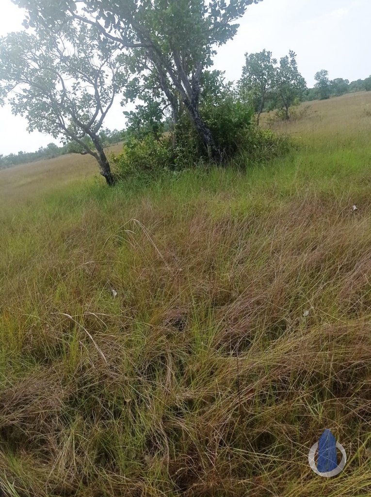 image_re_12580026.jpg