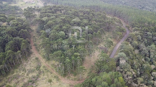 Fazenda/Sítios/Chácaras de no bairro Índios, em Lages | Eu Corretor