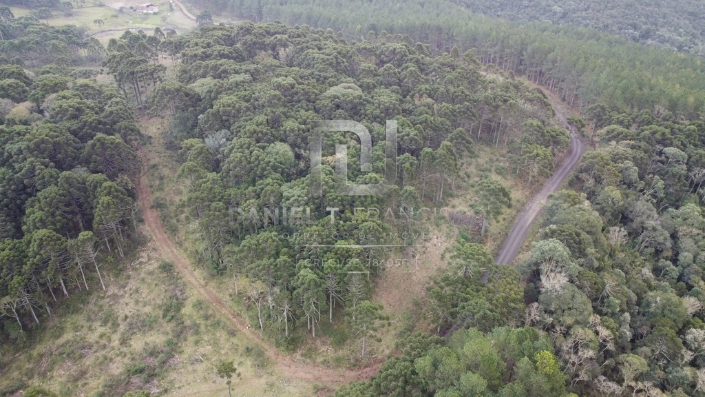 DJI_0417-1-scaled.jpg.jpg