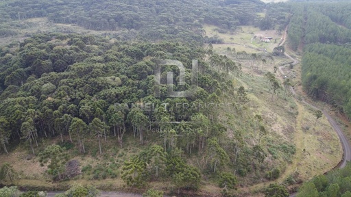Fazenda/Sítios/Chácaras de no bairro Índios, em Lages | Eu Corretor