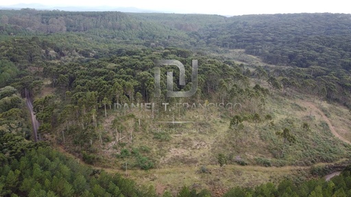 Fazenda/Sítios/Chácaras de no bairro Índios, em Lages | Eu Corretor