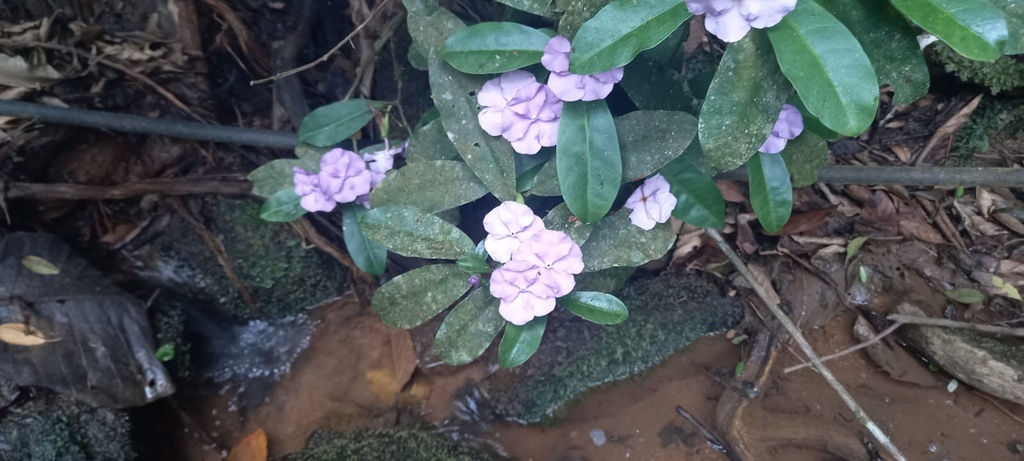 WhatsApp Image 2026-08-12 at 20.27.37.jpeg