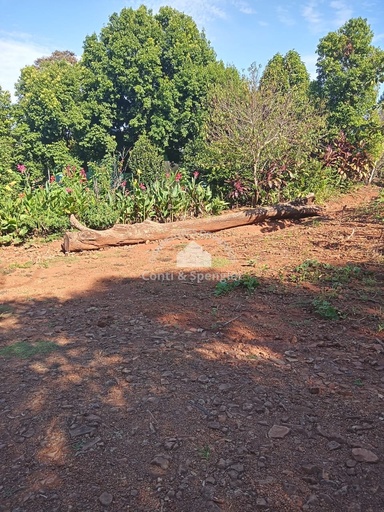 Fazenda/Sítios/Chácaras de 50000m² no bairro interior, em Horizontina | Eu Corretor