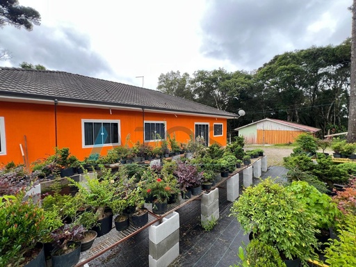 Chácara de 5 quartos, 8000m² no bairro Roseira, em Colombo | Eu Corretor