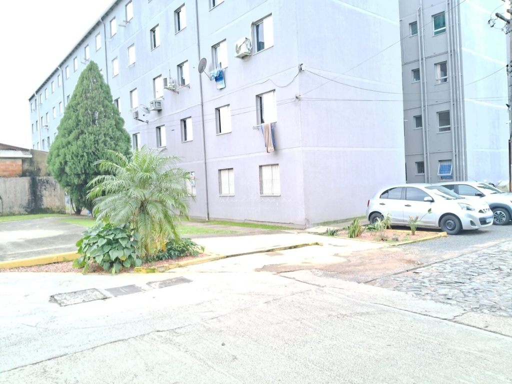 image_re_13748399.jpg