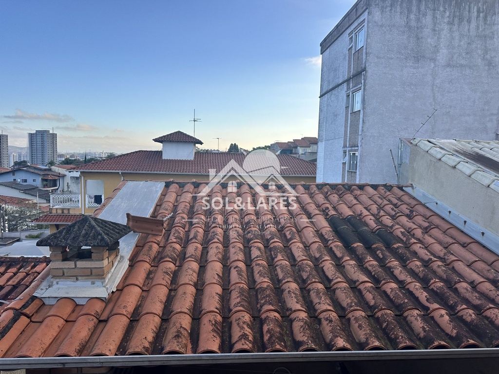 IMG_1158.jpeg
