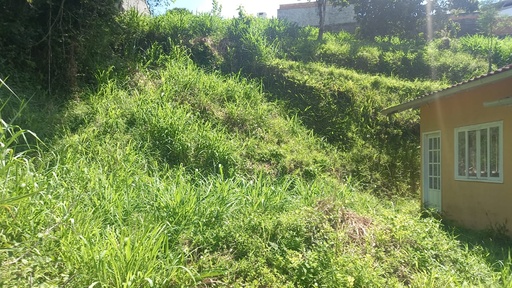 Lote/Terreno de 9652m² no bairro Steffen, em Brusque | Eu Corretor