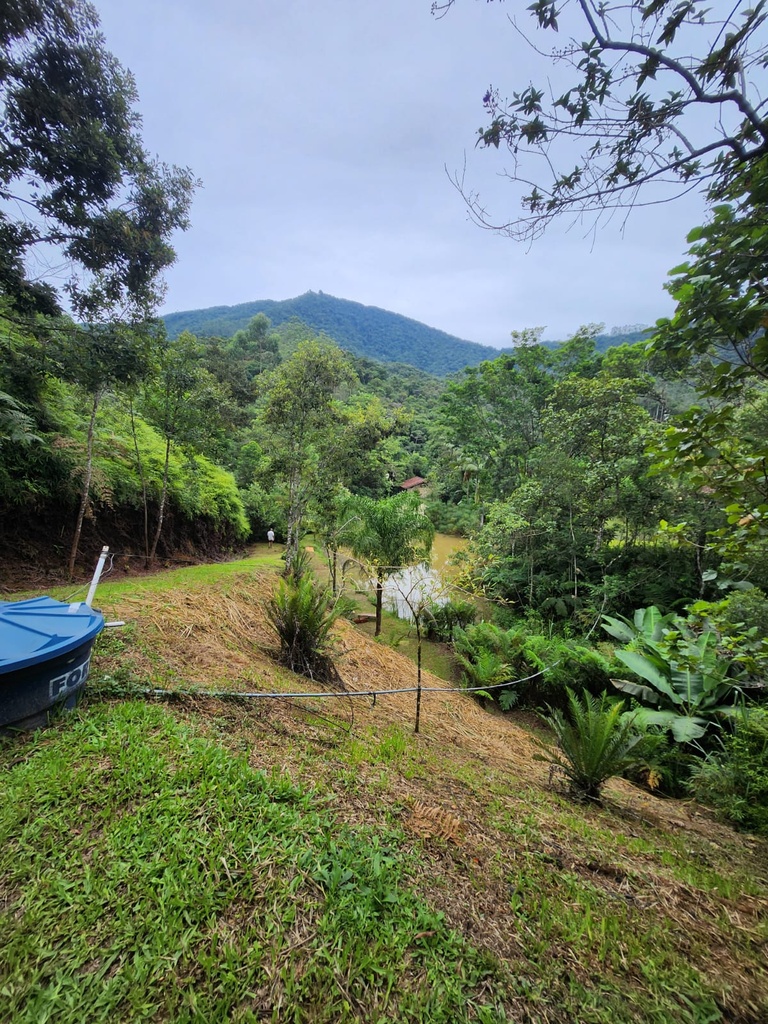 sitio werner 10.jpg