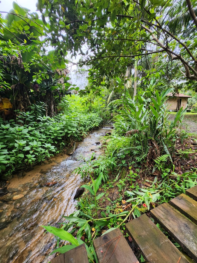 sitio werner 06.jpg