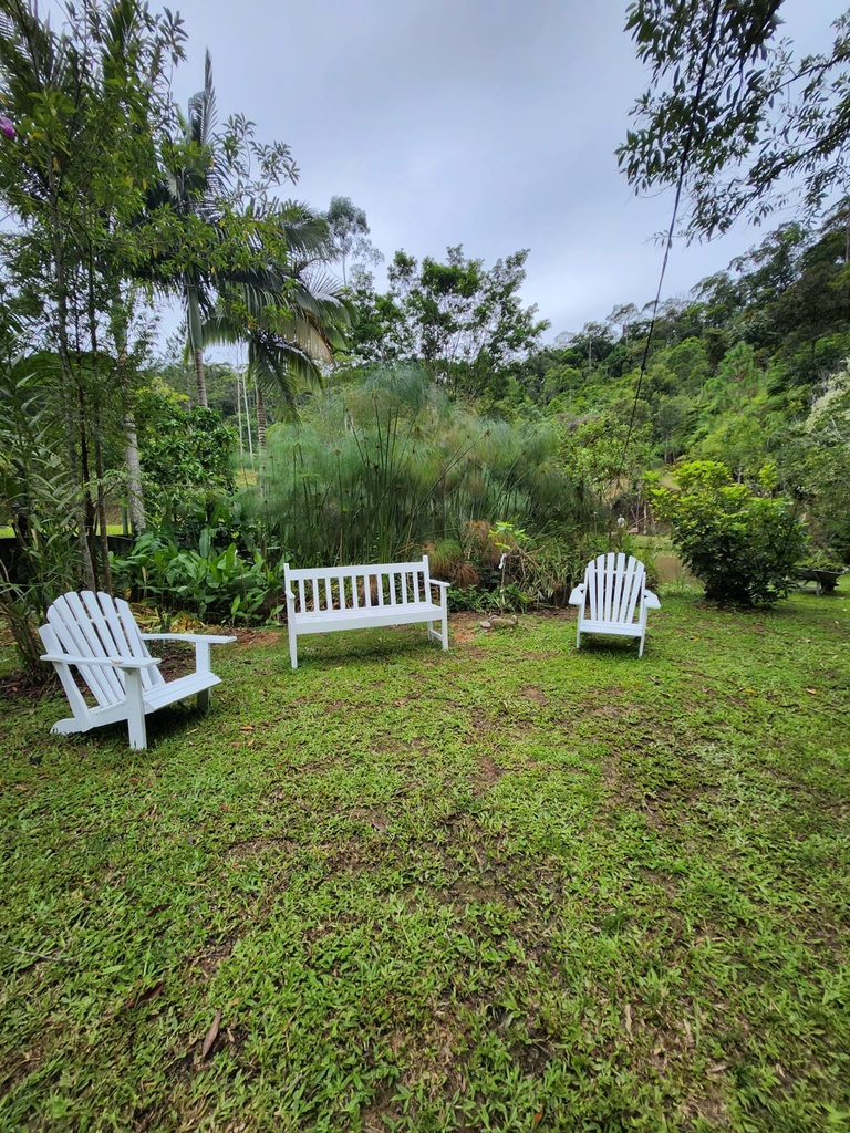 sitio werner 04.jpg