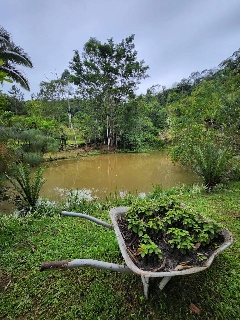 sitio werner 02.jpg