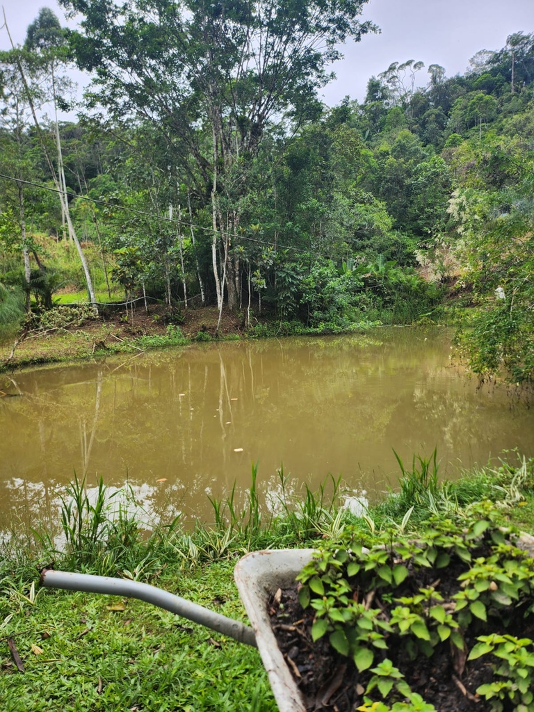 sitio werner 01.jpg