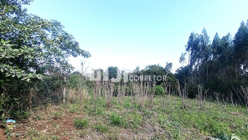 Chácara de 7000m² no bairro Macaco branco , em Portão | Eu Corretor