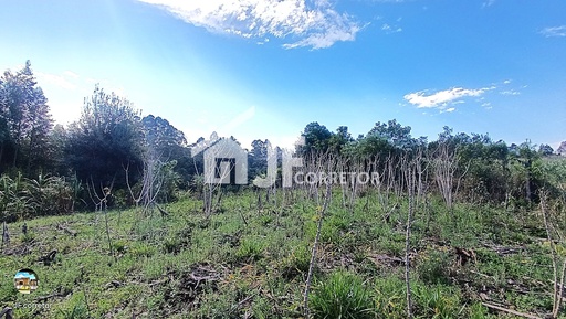 Chácara de 7000m² no bairro Macaco branco , em Portão | Eu Corretor