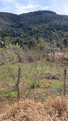 Lote/Terreno de 470m² no bairro São Bartolomeu, em Ouro Preto | Eu Corretor
