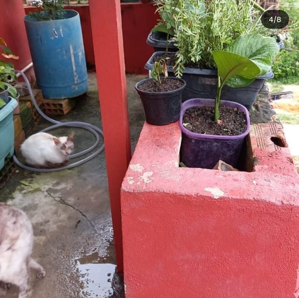 WhatsApp Image 2026-09-07 at 17.21.50 (2).jpeg