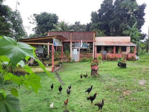 Fazenda/Sítios/Chácaras de 2 quartos, no bairro Urubuí, em Presidente Figueiredo | Eu Corretor