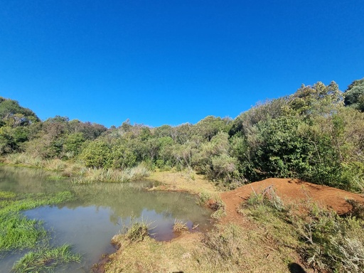 Chácara de 20000m² no bairro Mauá, em Vacaria | Eu Corretor