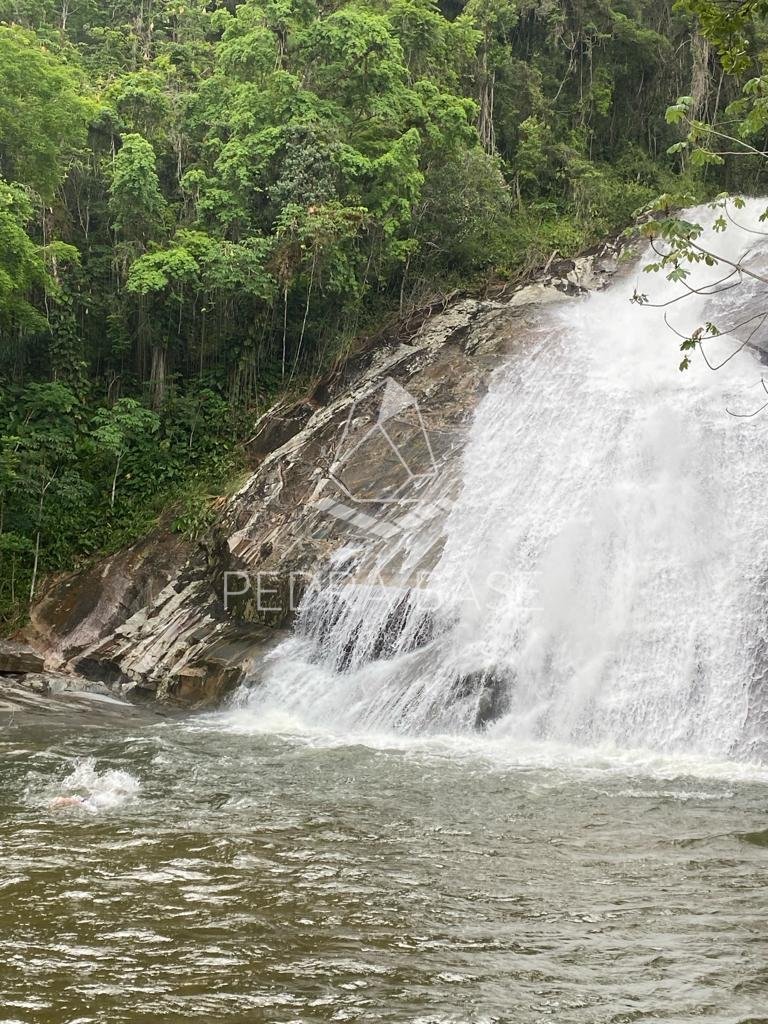 image_re_17246653.jpg