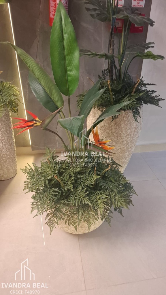image_re_17916261.jpg