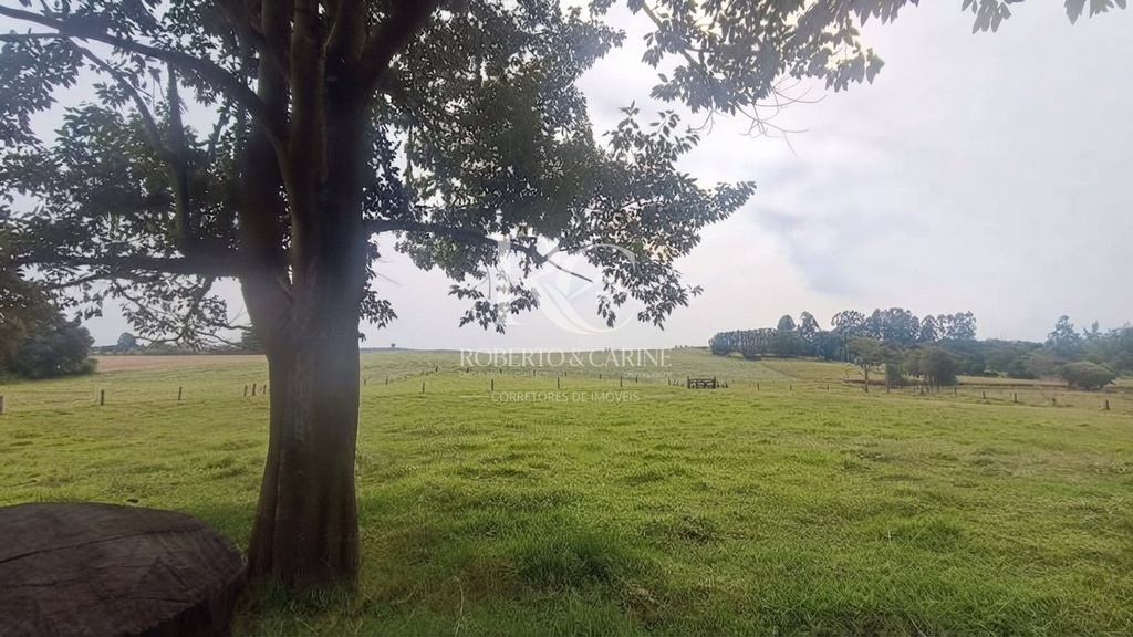 visão campo.jfif