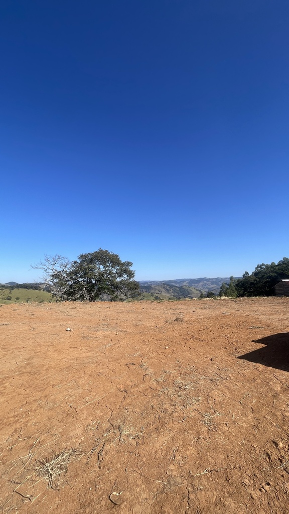 IMG_1929.jpeg