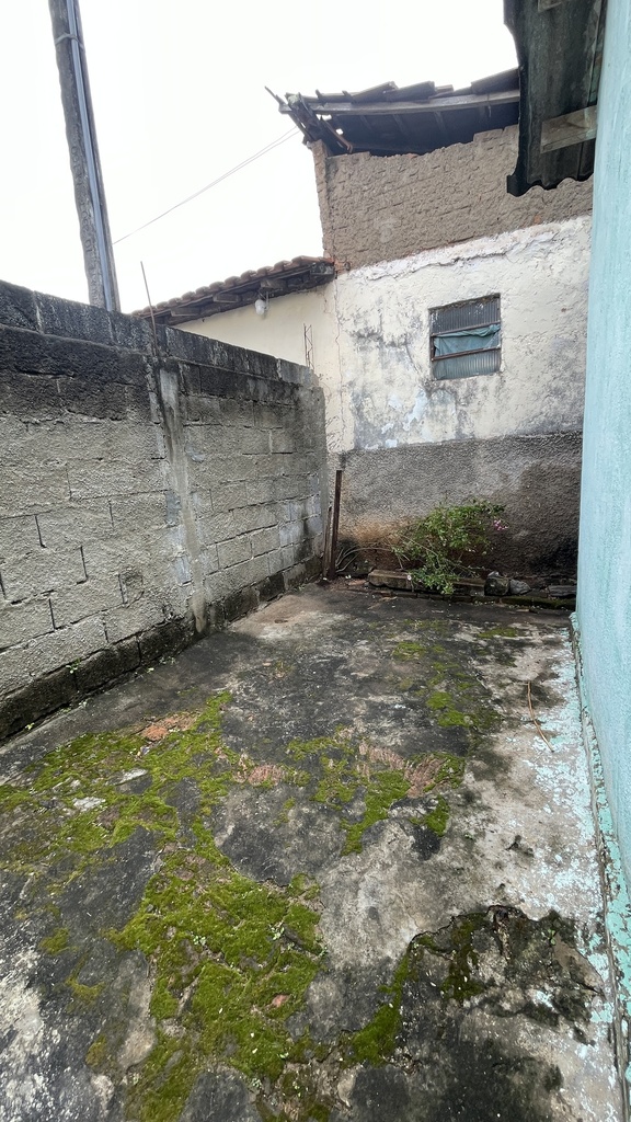 IMG_1817.jpeg