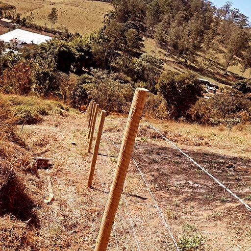 Lote/Terreno de 3750m² no bairro Olaria , em Estiva | Eu Corretor