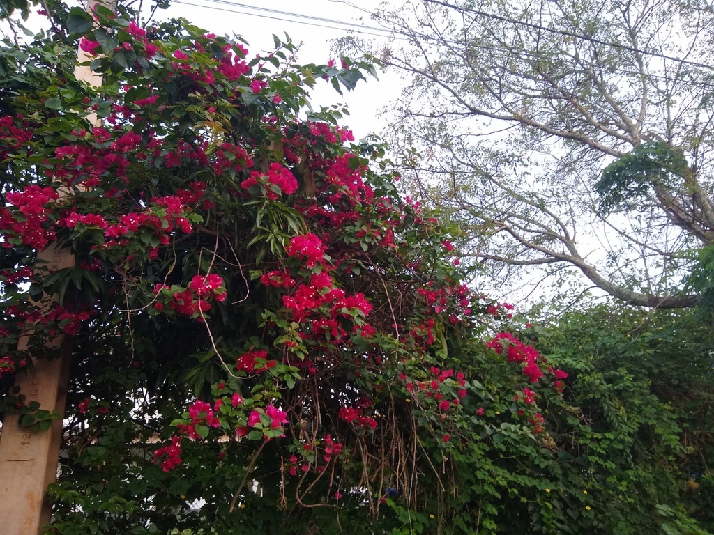 8d065d2c-7749-4f56-a1d0-907ecd230a17.jpeg