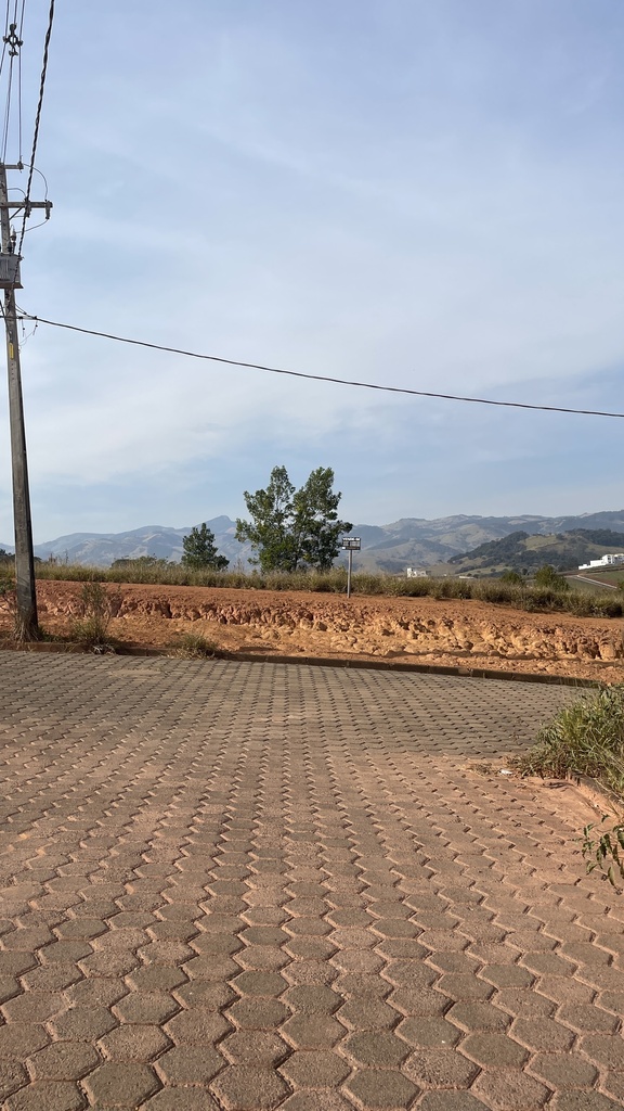 IMG_2311.jpeg