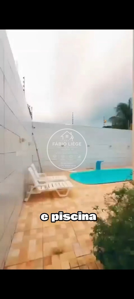 568832.jpg
