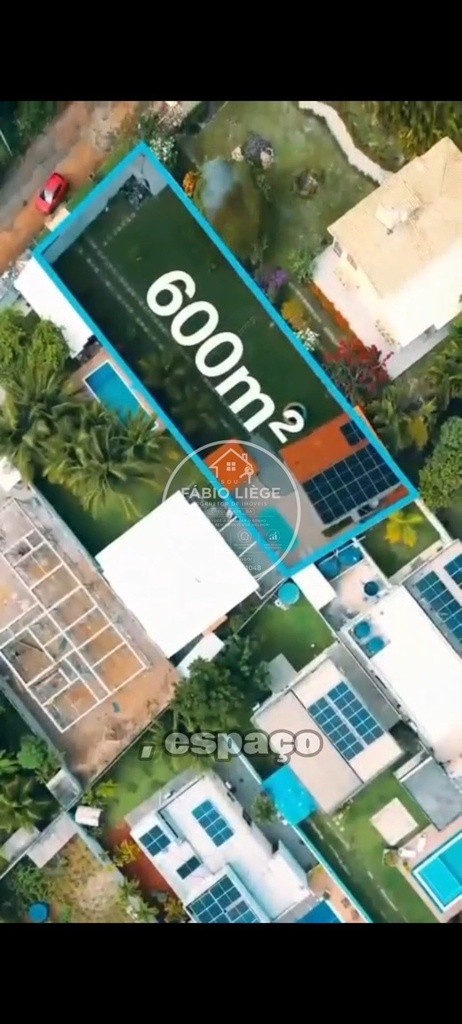 568818.jpg