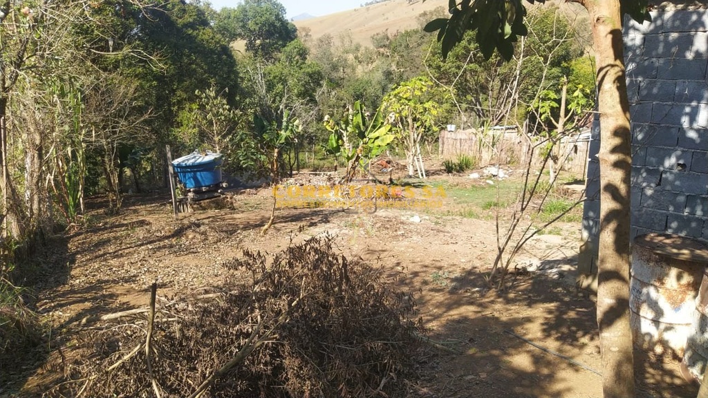 IMG-20240725-WA0152.jpg